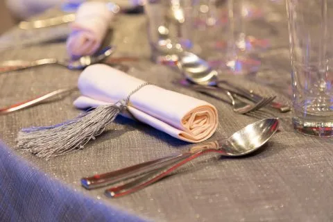 Ceva, De Gala Dinner Party