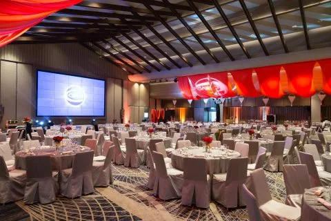 Ceva, De Gala Dinner Party