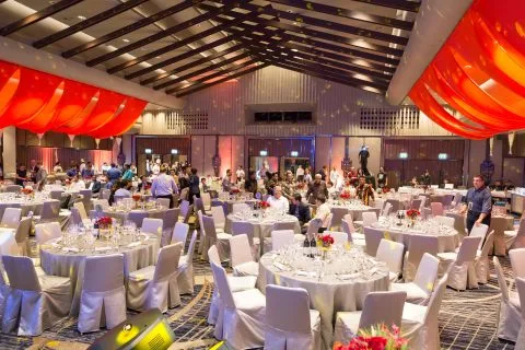 Ceva, De Gala Dinner Party