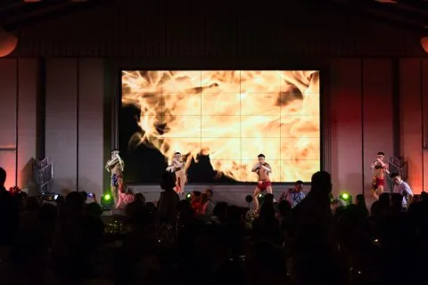 Ceva, De Gala Dinner Party