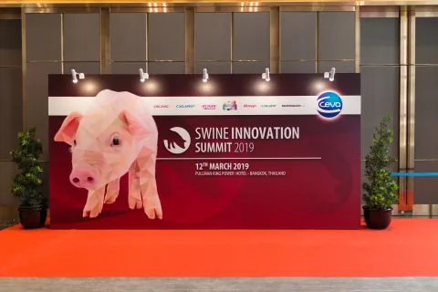 Ceva Swine Innovation Summit at Pullman Hotel