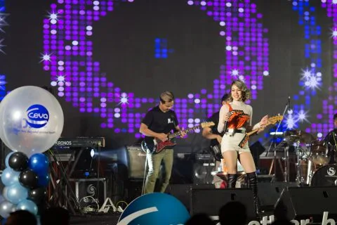 Perfect Pair, Perfect Combination Seminar & Mini-concert